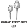 poppy pods usa