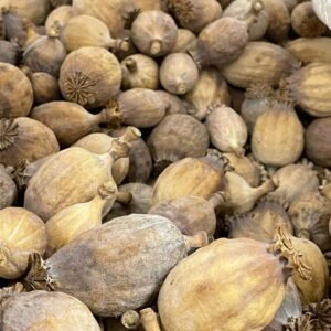dry poppy pods for sale