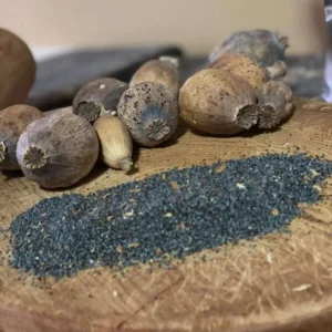 unwashed poppy seeds for sale