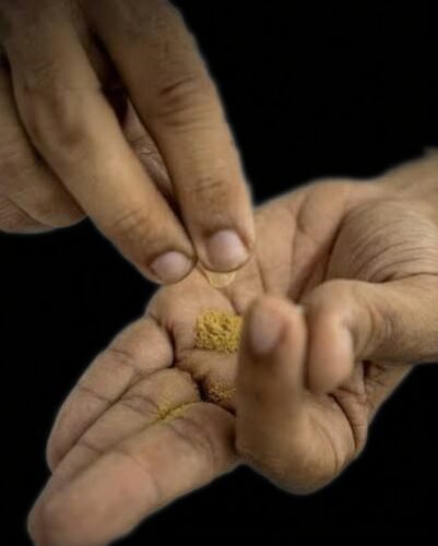 Buy ibogaine
