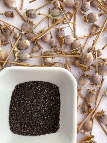 Unwashed Poppy Seeds For Sale